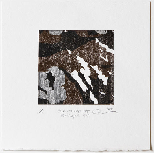 Sea Cliff at Bragar B2 (Carol Mannas) – 2