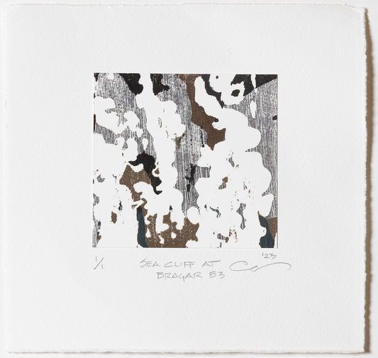 Sea Cliff at Bragar B3 (Carol Mannas) – 2