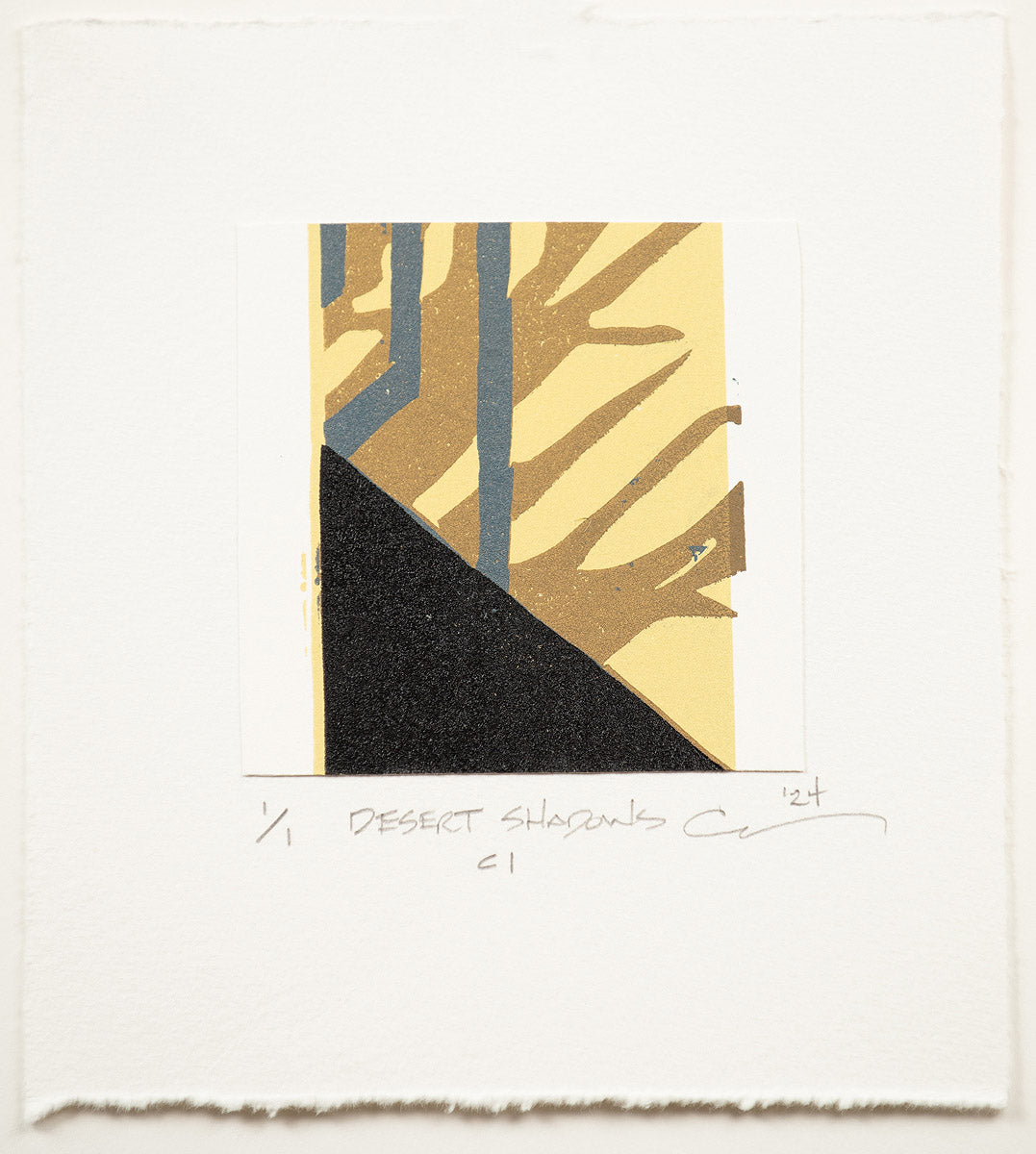 Desert Shadows C1 (Carol Mannas) – 2