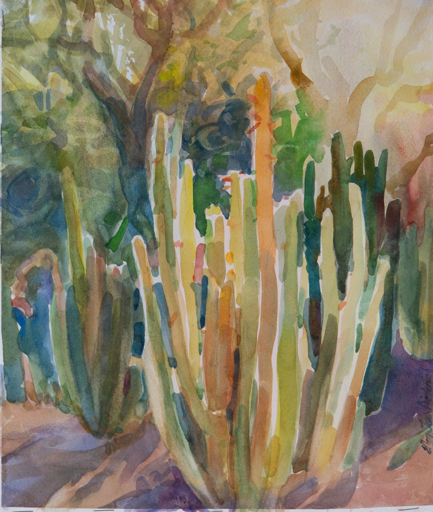 Cactus Crowd (Ellen Jean Diederich)