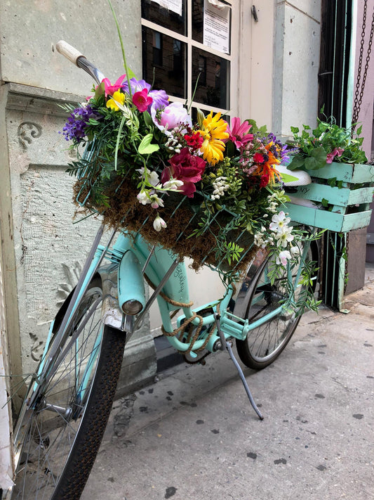 Turquoise bike with flowers (Donna Raider)