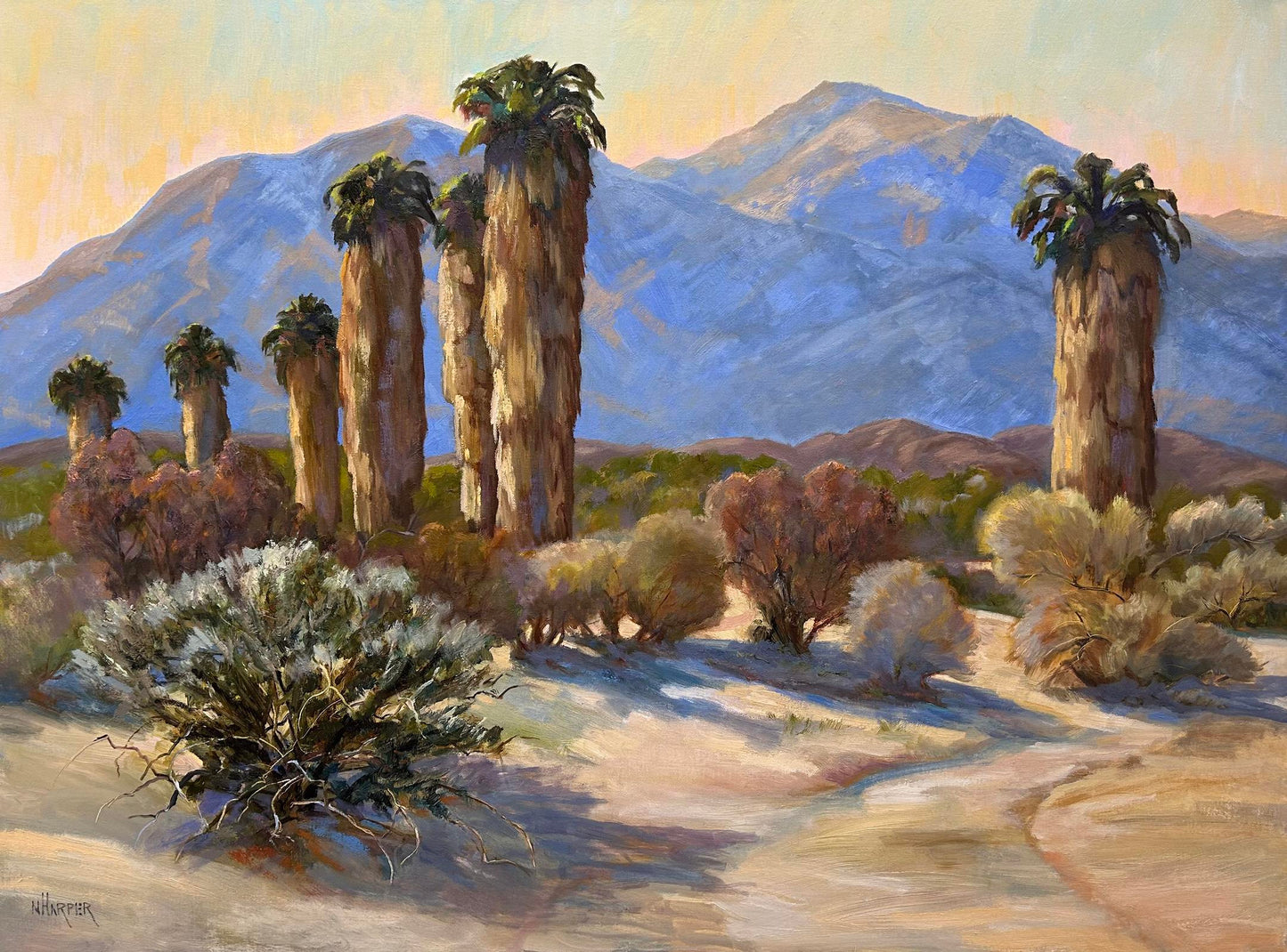 Treasures of the Desert (Nita Harper)