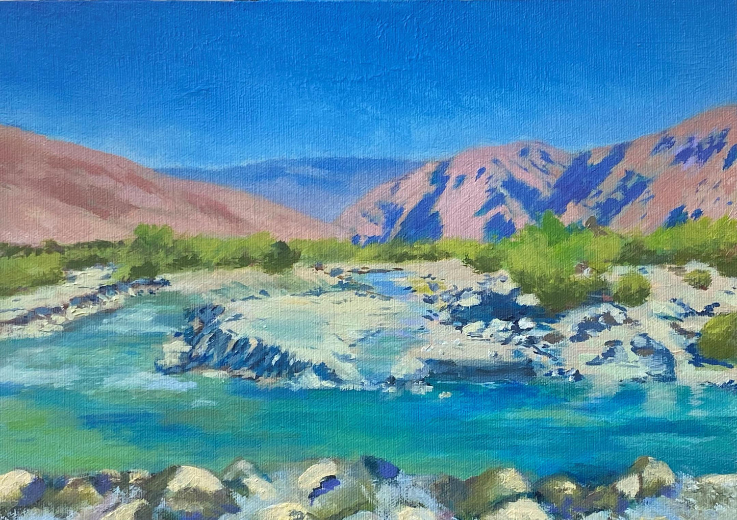 A Day at Whitewater Preserve